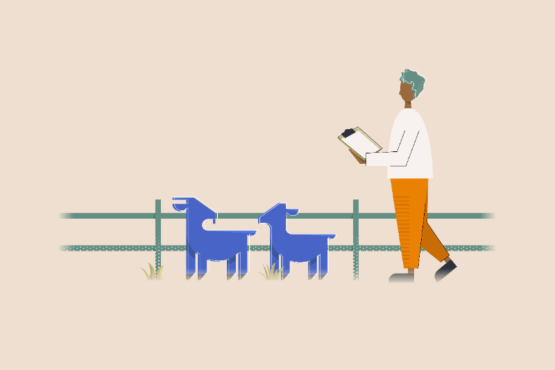 animal care illustration