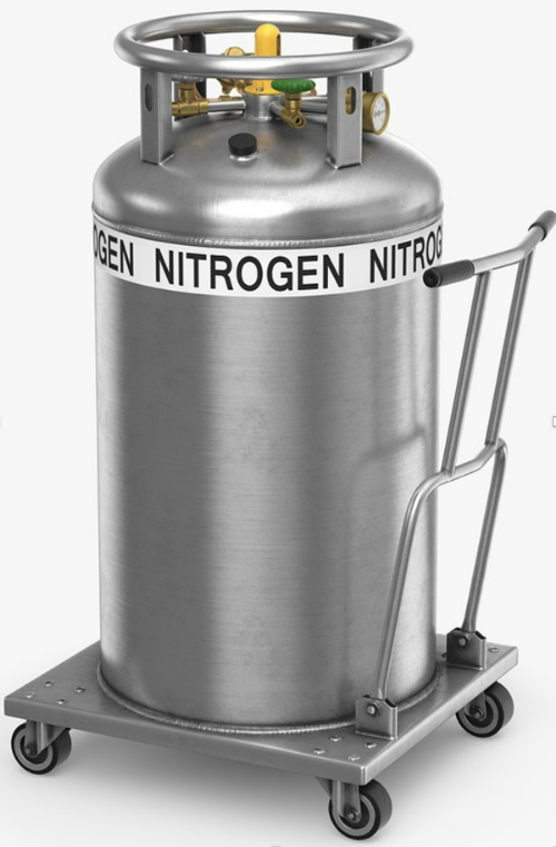 Cryogenic container