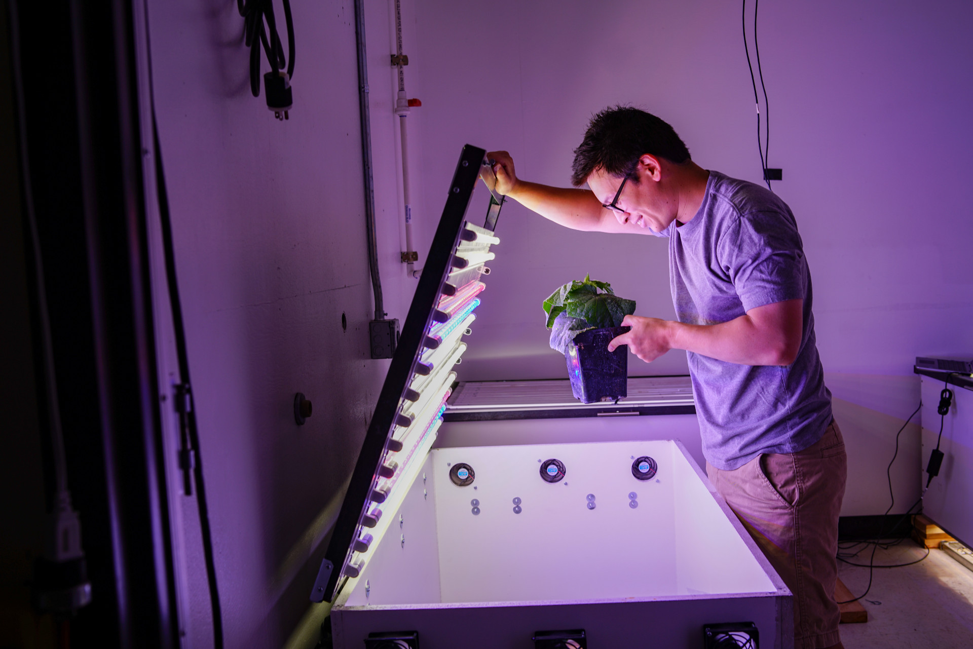 researcher with plant testing growth in alternate light color and intensity