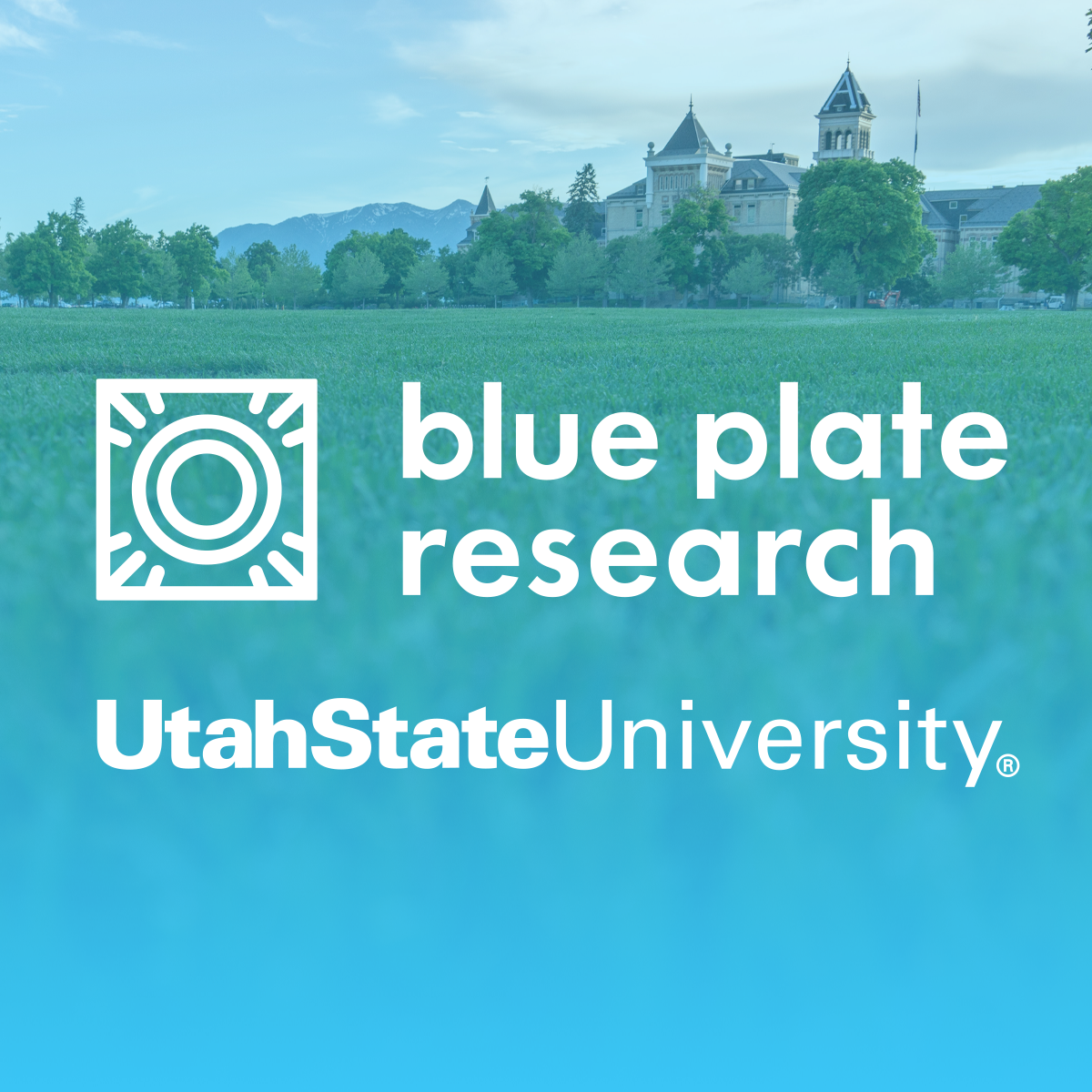 blue plate cover