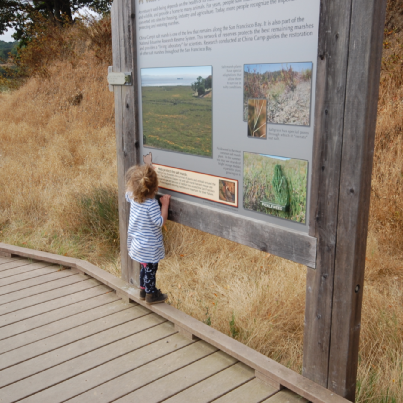 A Guilt-Free Approach to Change