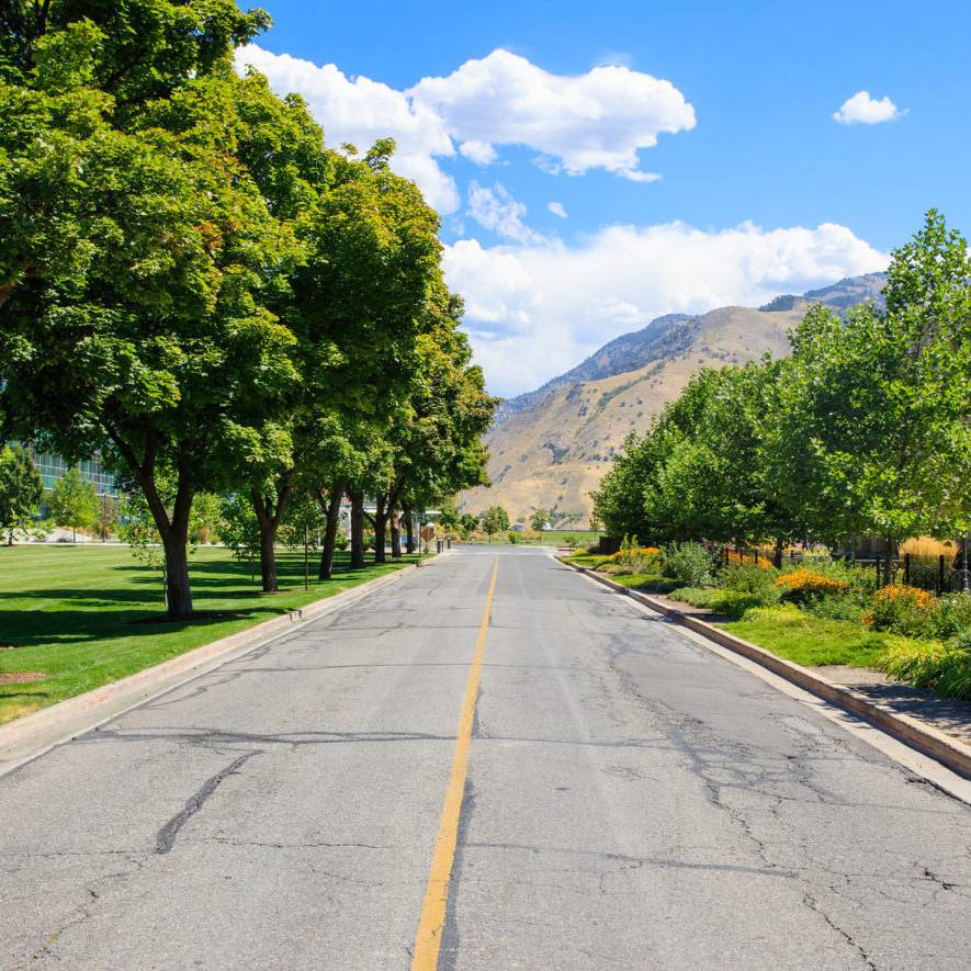 Working Together, Networks of Female Spies