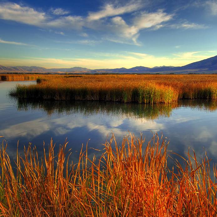 Through Watershed Eyes