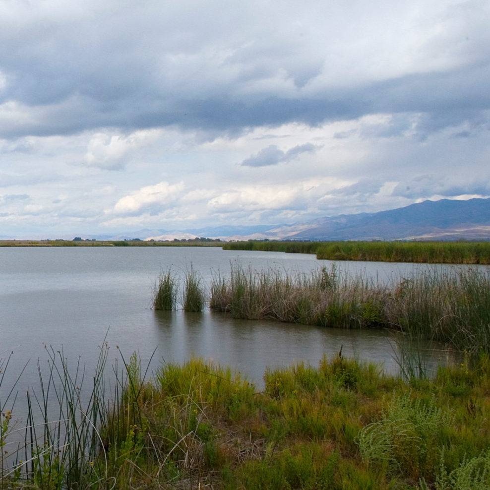 After the Smoke Clears