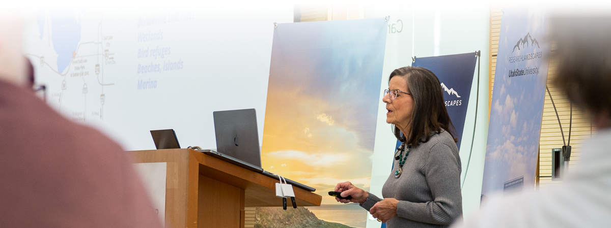 A woman presenting on the stage of Research Landscapes