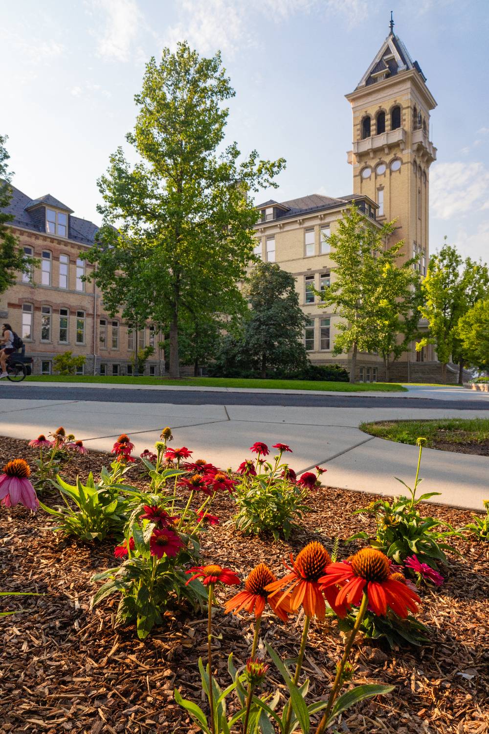 Old main in the spring time with a bed of red flowers nearby