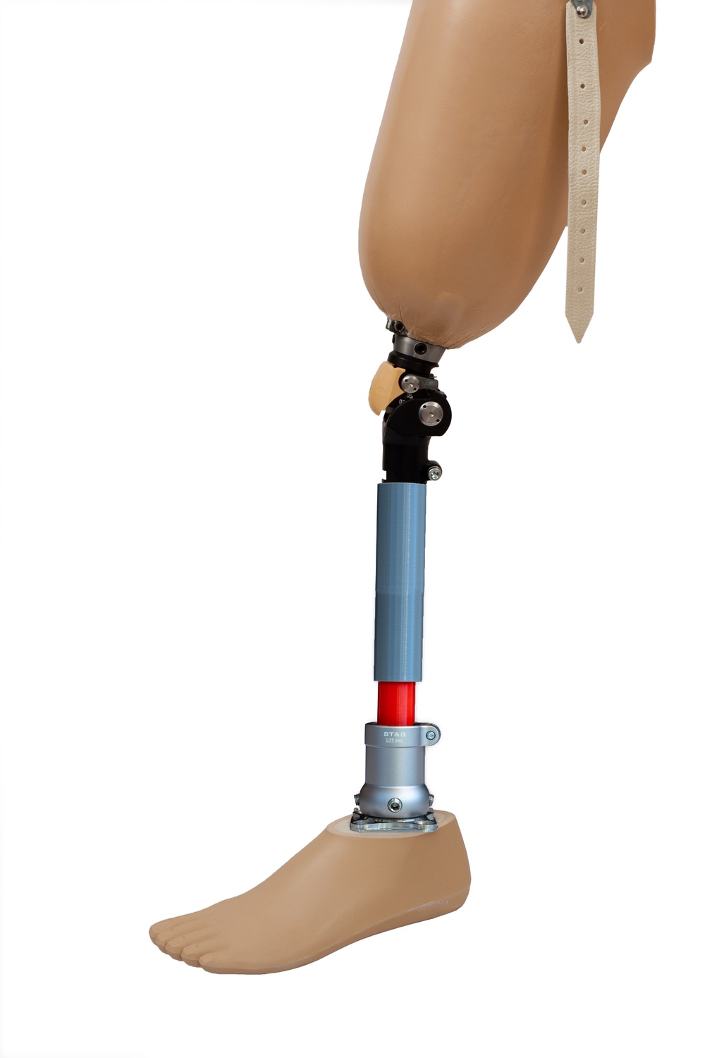 Prosthetic Leg