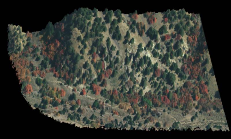 Results of a lidar imaging method applied to a forrest on the side of a mountain.