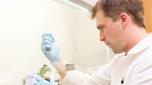 Honors Research Fund