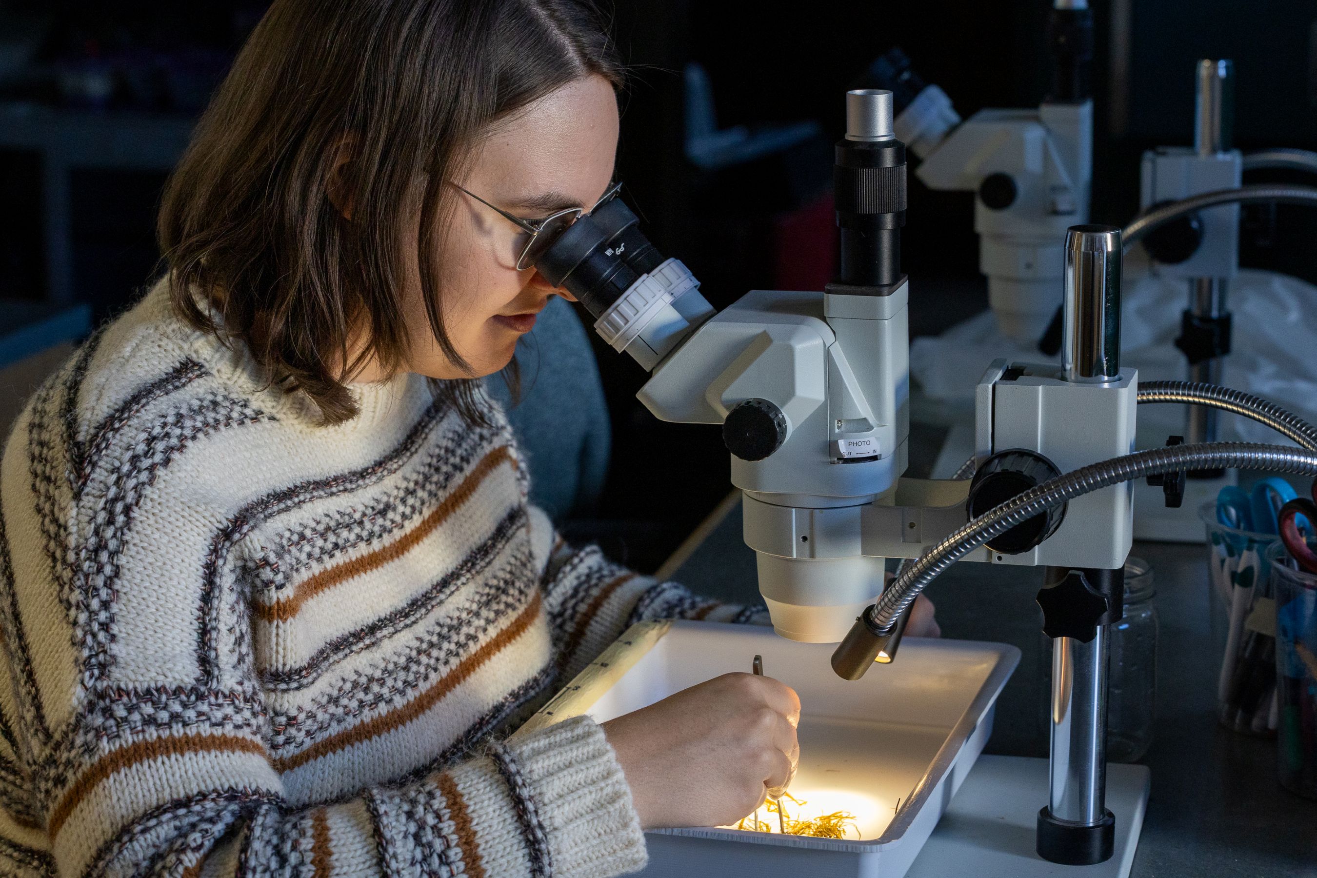 student looking into a microscope